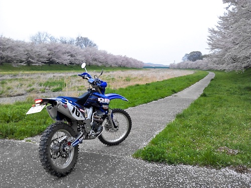 WR250F